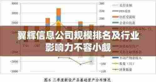 翼辉信息公司规模排名及行业影响力不容小觑