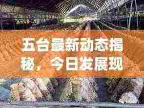 五台最新动态揭秘,今日发展现状及最新消息速览