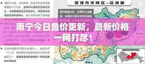 南宁今日鱼价更新，最新价格一网打尽！