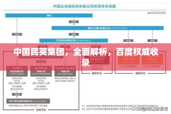 中国民英集团,全面解析,百度权威收录