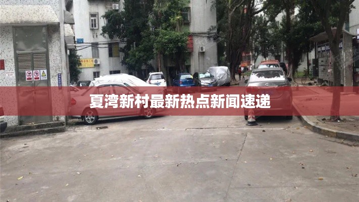 夏湾新村最新热点新闻速递