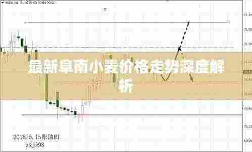 料事如神 第3页