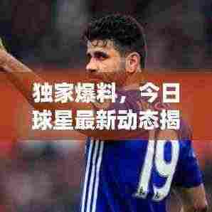 独家爆料,今日球星最新动态揭秘