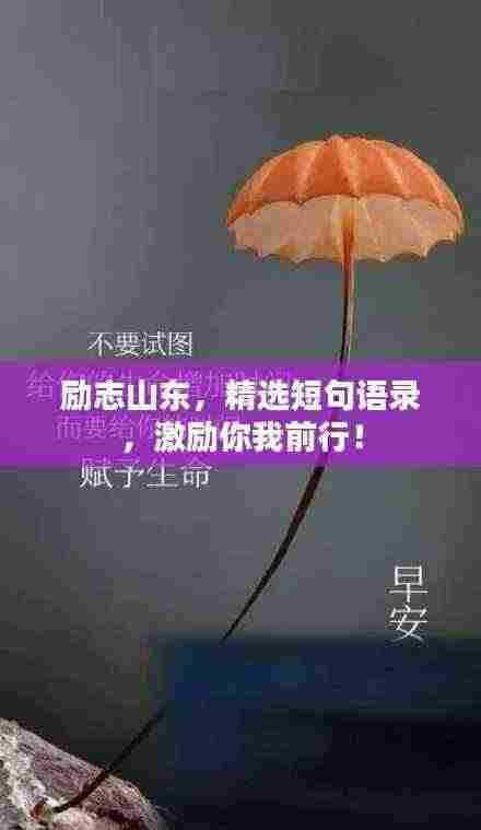 励志山东，精选短句语录，激励你我前行！