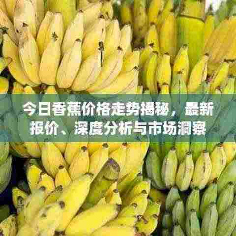 今日香蕉价格走势揭秘，最新报价、深度分析与市场洞察