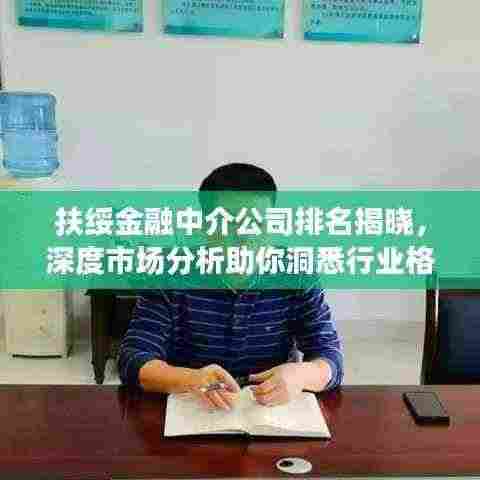 扶绥金融中介公司排名揭晓,深度市场分析助你洞悉行业格局!