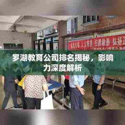 罗湖教育公司排名揭秘,影响力深度解析