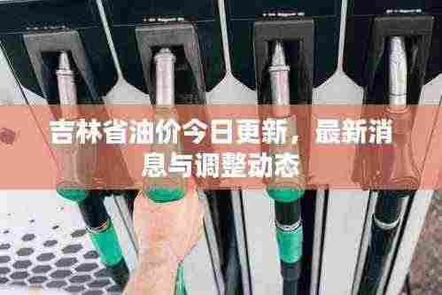 吉林省油价今日更新,最新消息与调整动态
