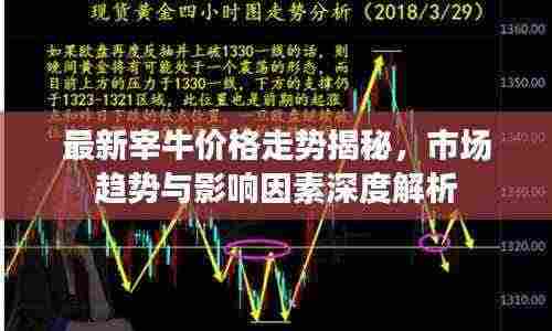 最新宰牛价格走势揭秘,市场趋势与影响因素深度解析