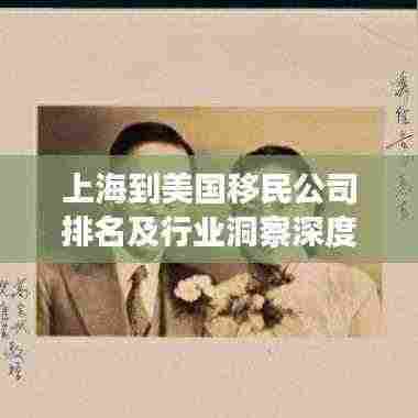 上海到美国移民公司排名及行业洞察深度解析