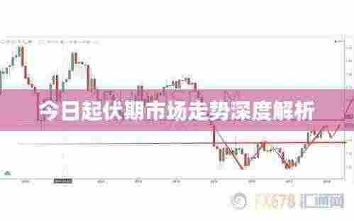 今日起伏期市场走势深度解析