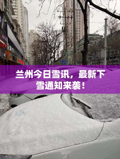 兰州今日雪讯,最新下雪通知来袭!