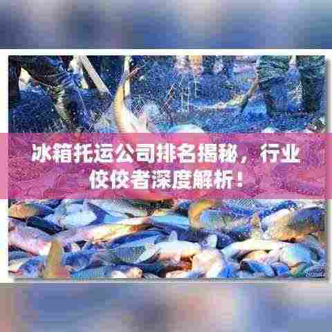 冰箱托运公司排名揭秘,行业佼佼者深度解析!
