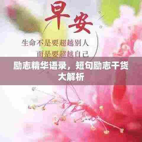 励志精华语录,短句励志干货大解析