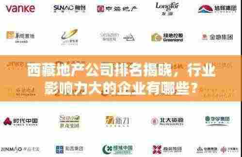 西藏地产公司排名揭晓,行业影响力大的企业有哪些?