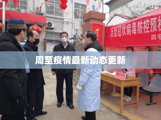 周至疫情最新动态更新