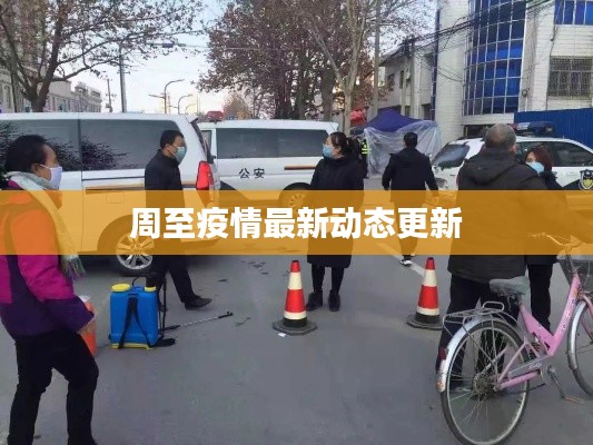 周至疫情最新动态更新
