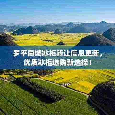 罗平同城冰柜转让信息更新,优质冰柜选购新选择!