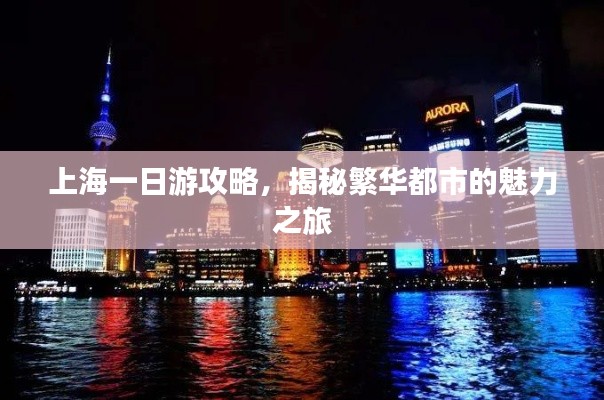 上海一日游攻略,揭秘繁华都市的魅力之旅