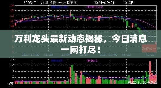 万利龙头最新动态揭秘,今日消息一网打尽!