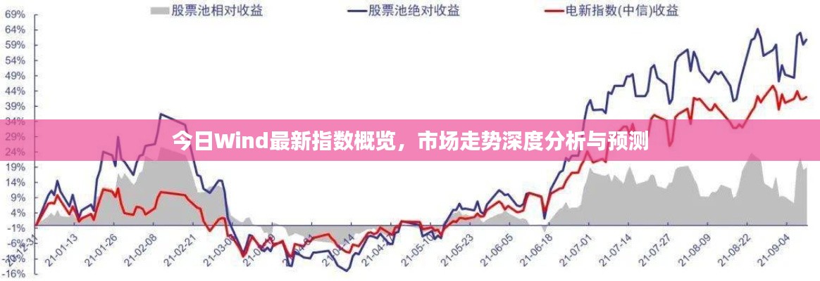 今日Wind最新指数概览,市场走势深度分析与预测