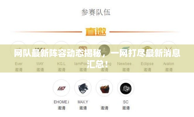 网队最新阵容动态揭秘,一网打尽最新消息汇总!