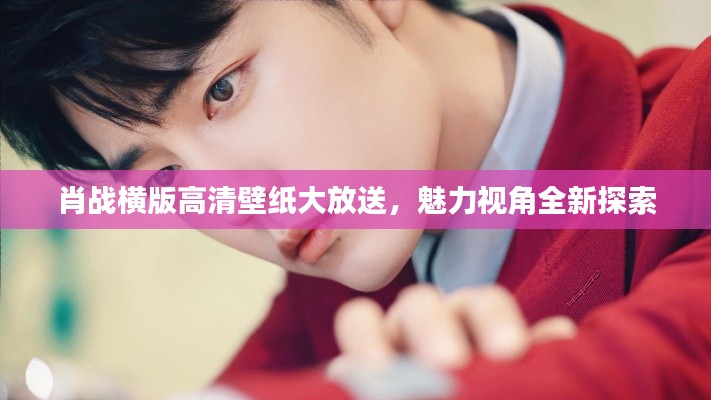 肖战横版高清壁纸大放送,魅力视角全新探索