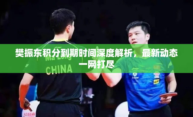 樊振东积分到期时间深度解析,最新动态一网打尽