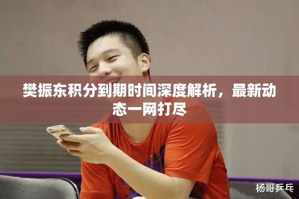 樊振东积分到期时间深度解析,最新动态一网打尽