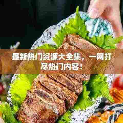 最新热门资源大全集,一网打尽热门内容!