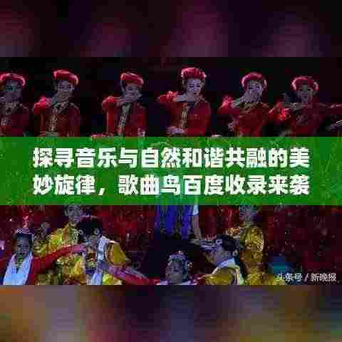 探寻音乐与自然和谐共融的美妙旋律,歌曲鸟百度收录来袭!