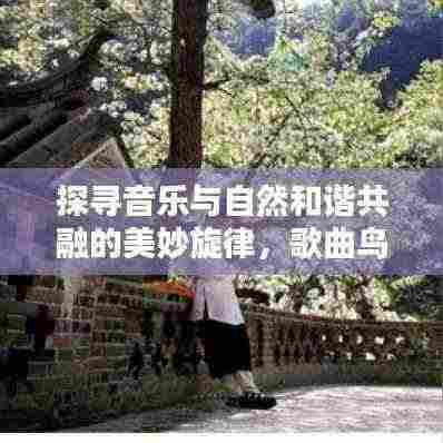 探寻音乐与自然和谐共融的美妙旋律,歌曲鸟百度收录来袭!