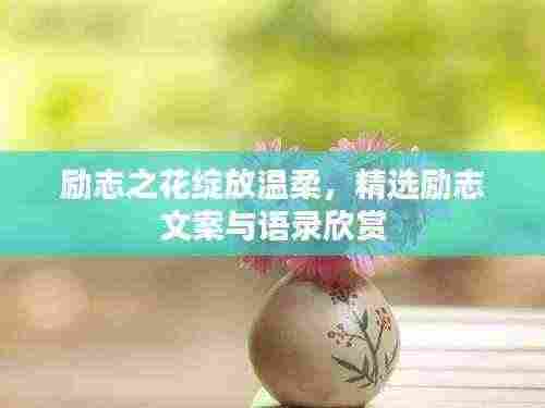 励志之花绽放温柔,精选励志文案与语录欣赏