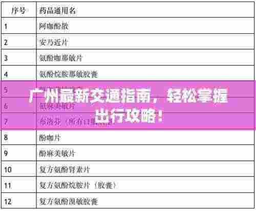 广州最新交通指南，轻松掌握出行攻略！