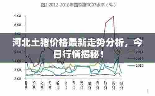 河北土猪价格最新走势分析，今日行情揭秘！