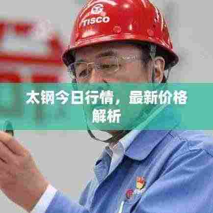 太钢今日行情,最新价格解析
