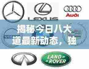 揭秘今日八大道最新动态,独家消息速递