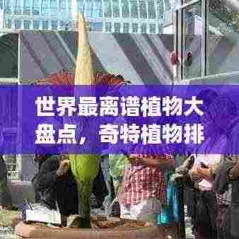 世界最离谱植物大盘点,奇特植物排行榜!