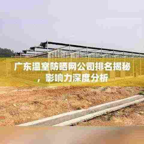 广东温室防晒网公司排名揭秘,影响力深度分析