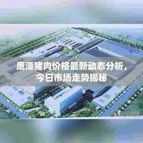 鹰潭猪肉价格最新动态分析,今日市场走势揭秘