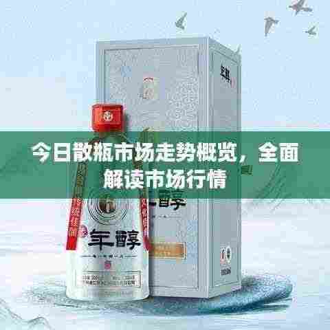 今日散瓶市场走势概览，全面解读市场行情