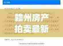 赣州房产拍卖最新消息速递，今日拍卖信息全掌握