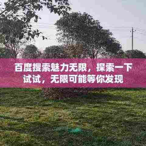 百度搜索魅力无限,探索一下试试,无限可能等你发现