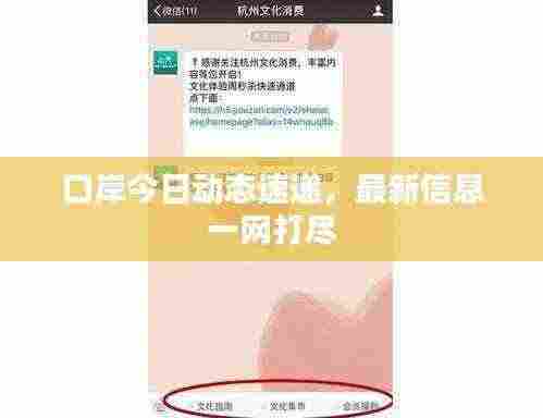 口岸今日动态速递,最新信息一网打尽