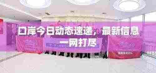 口岸今日动态速递,最新信息一网打尽