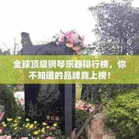 全球顶级钢琴乐器排行榜,你不知道的品牌竟上榜!