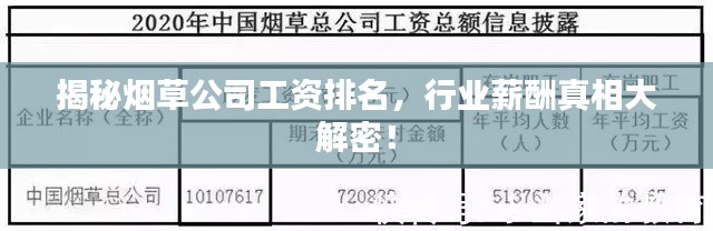 揭秘烟草公司工资排名,行业薪酬真相大解密!