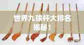 反朴归真 第3页