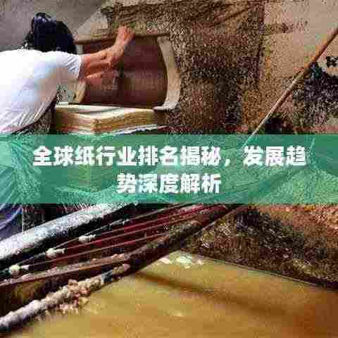 全球纸行业排名揭秘，发展趋势深度解析