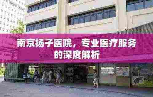 南京扬子医院,专业医疗服务的深度解析